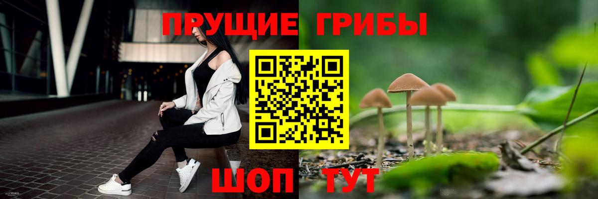 Псилоцибиновые грибы MAGIC MUSHROOMS  Вход с VPN  Россия 